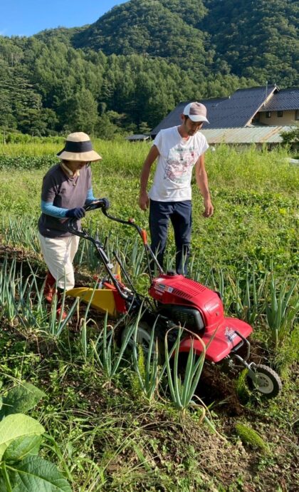 実施報告】☆第5回☆自然栽培プロ農家とつくるシェア農園 - 【公式